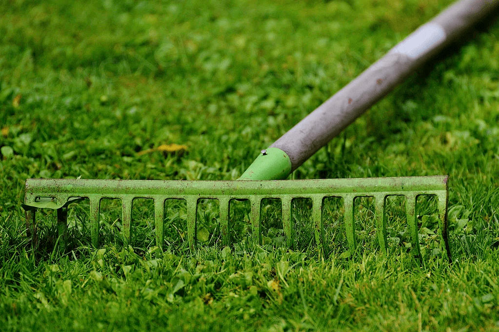 green dethatching rake lying on the grass