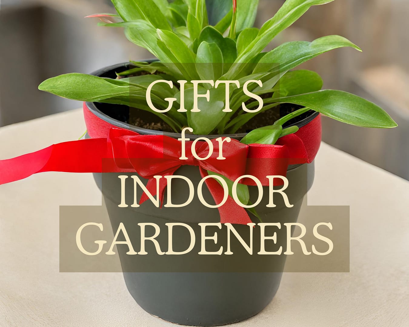 Holiday Gifts for Indoor Gardeners