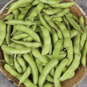 bowl full of soybean pods