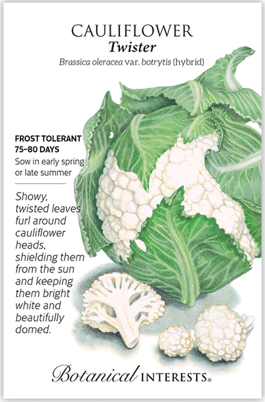 packet of cauliflower seeds