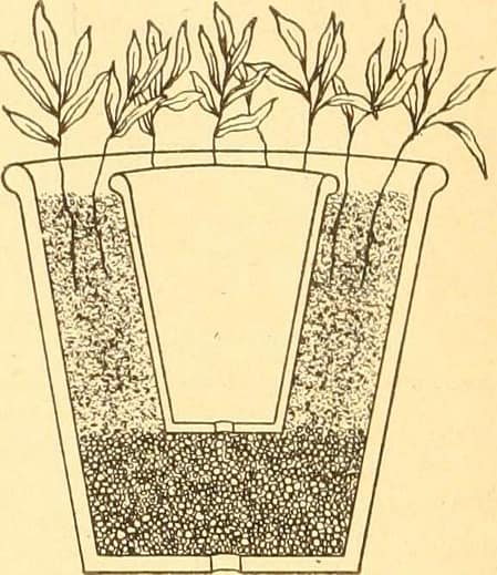 raise plant humidity