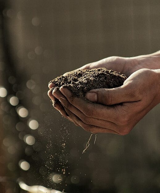 two hands holding soil