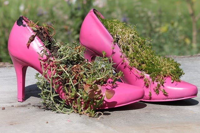 Pink high heels planted with vines.