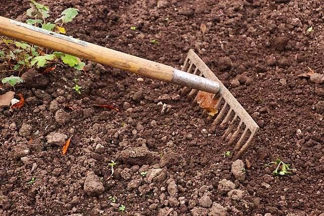 rake in soil