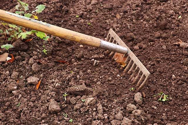 Rake in the soil