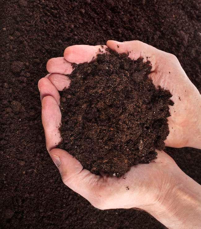 two hands holding soil