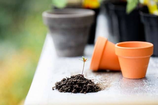 blurred background with a brown planting pot in the distance, 2 terra cotta pots in the foreground with a small pile of soil