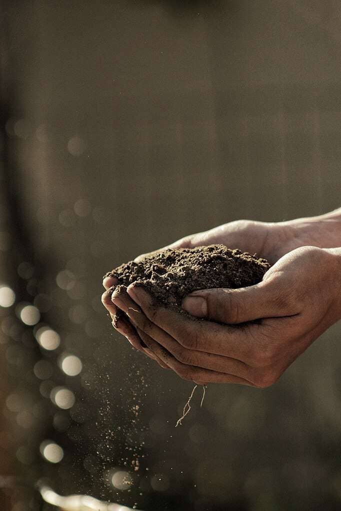 hand holding some soil against a brown backgrouns