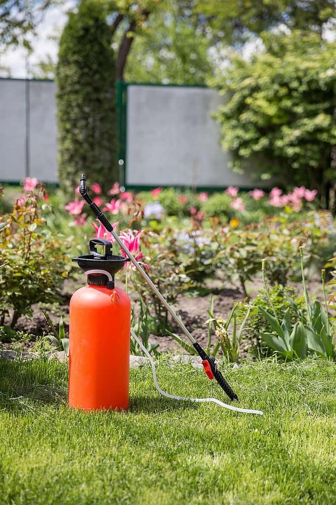 Orange garden sprayer canister on green grass in front of a flowering garden