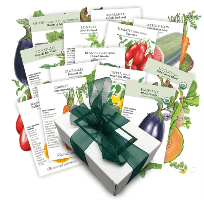 A collection of various vegetable seeds as a gift idea