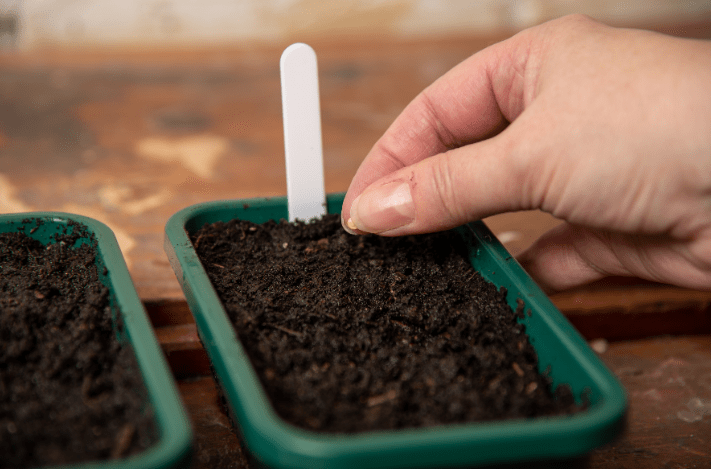 hand planting a seed in soil