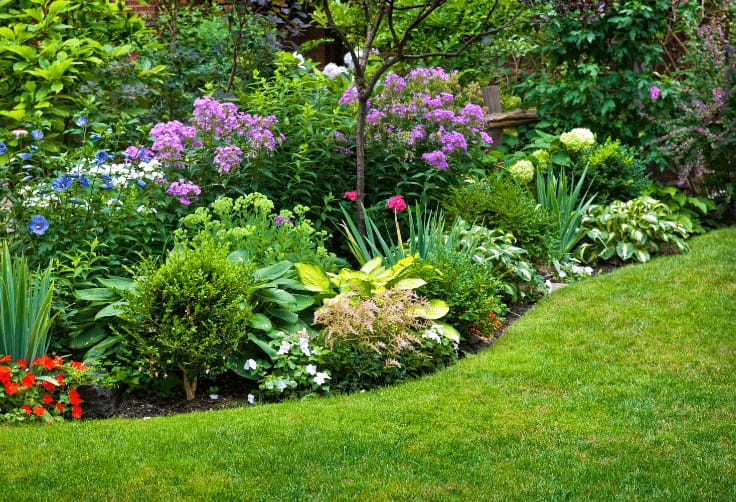 rounded flower border and lawn