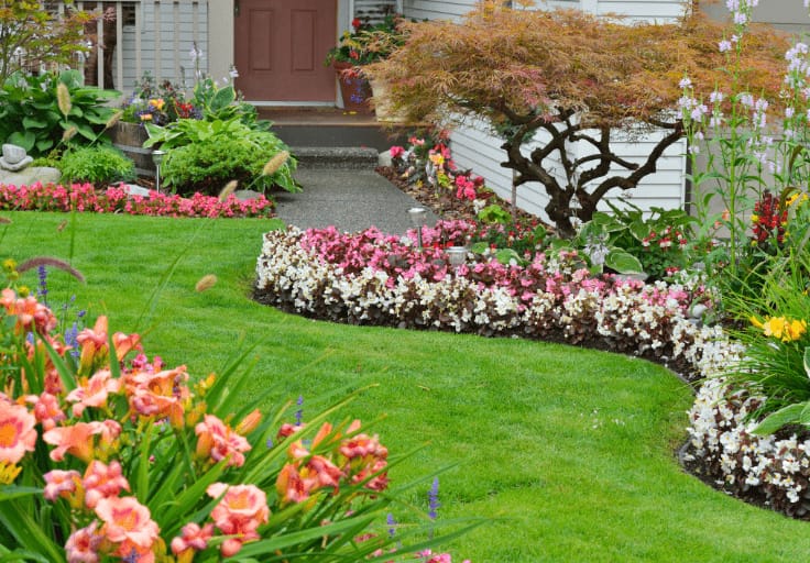 formal flower border through a lawn leading to a front door