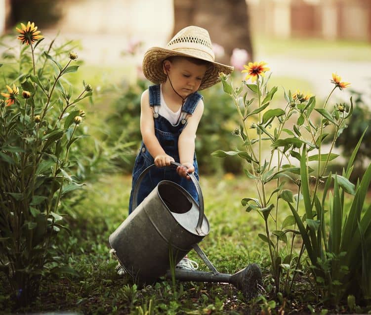 Basic tools used for gardening for the beginning gardener