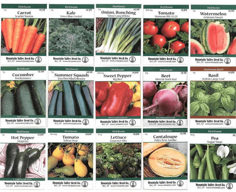 assorted vegetable seeds