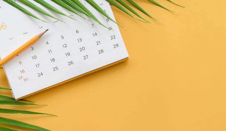 calendar and pencil with part of a palm leaf on a yellow background