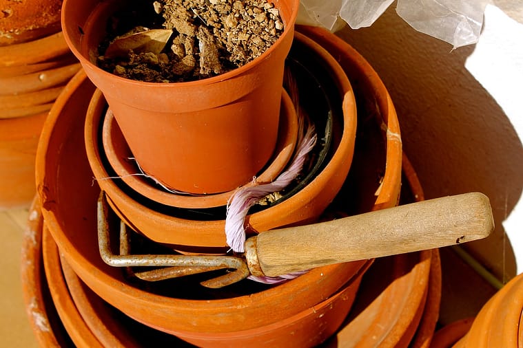 planting pot for roses