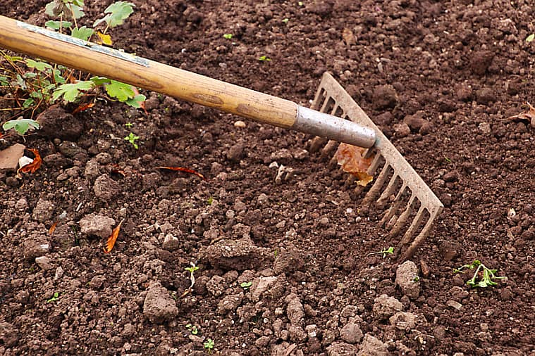 Rake in the soil