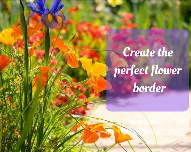 colorful flowers bordering a stone walkway