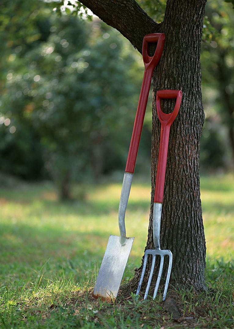 Essential Garden Tools: Your Must-Have List