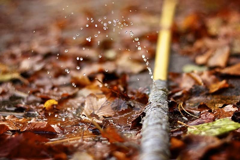 Closeup of a yellow hose which as sprung a leak