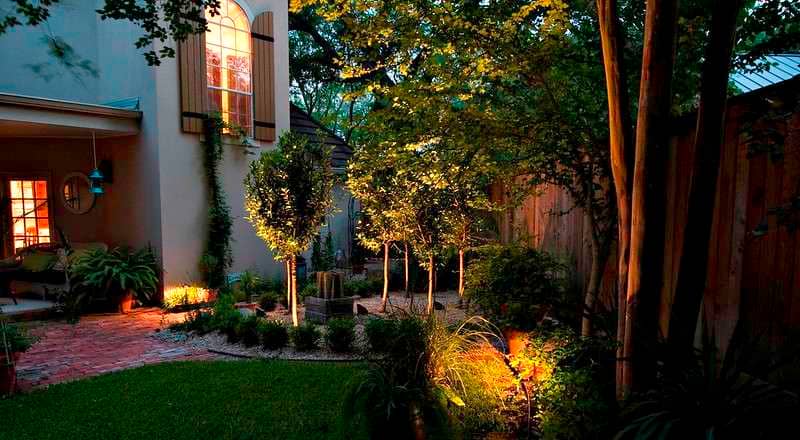 spotlit trees in a home's front yard at night