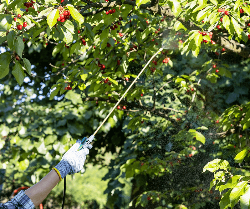 What is Copper Fungicide? How and when to use it Gardenologist