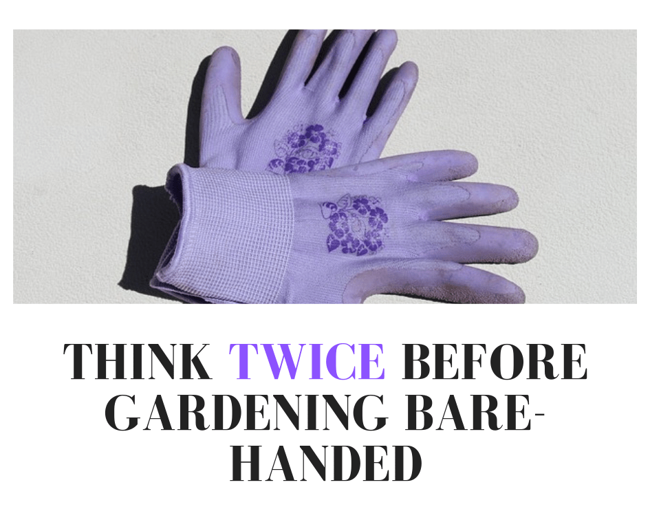 3 Reasons to put on those gardening gloves